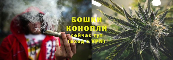 ПСИЛОЦИБИНОВЫЕ ГРИБЫ Михайловка