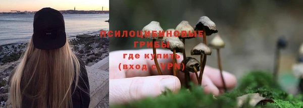 прущая мука Михайлов