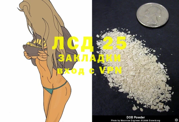 шишки Балабаново