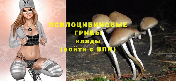 прущая мука Михайлов