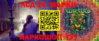 ПСИЛОЦИБИНОВЫЕ ГРИБЫ Кимры